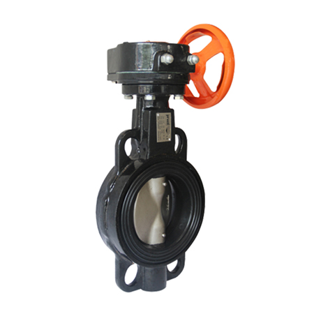 Leptir ventil Tip V107