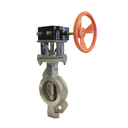 Leptir ventil Tip V110